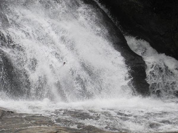 சின்னார் வனவிலங்கு சரணாலயம்