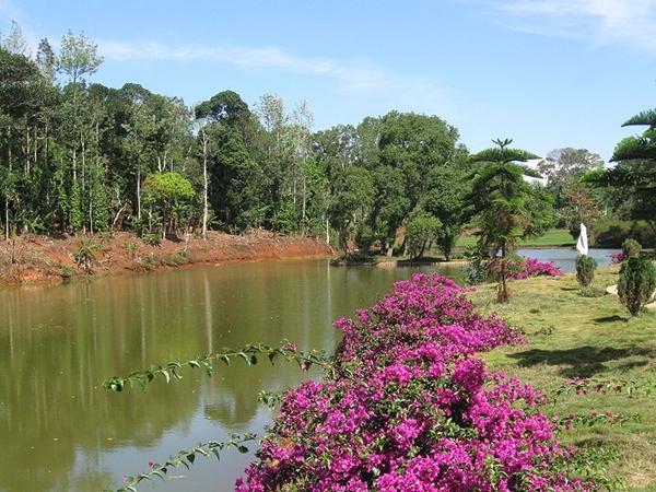 கோயம்புத்தூர் மற்றும் அதனைச் சுற்றியுள்ள பகுதிகள்