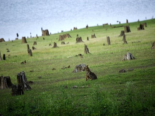 நாகர்ஹோலே காட்டுயிர் பாதுகாப்பு வனம்