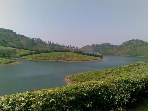தேனி