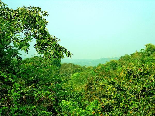 எட்டூர்நகரம் காட்டுயிர் சரணாலயம்