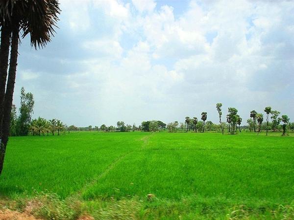 தஞ்சாவூர்