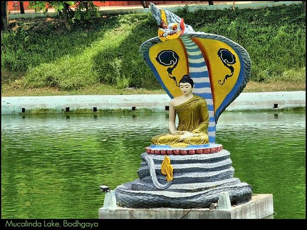 புத்தரின் பிறந்த நாள்