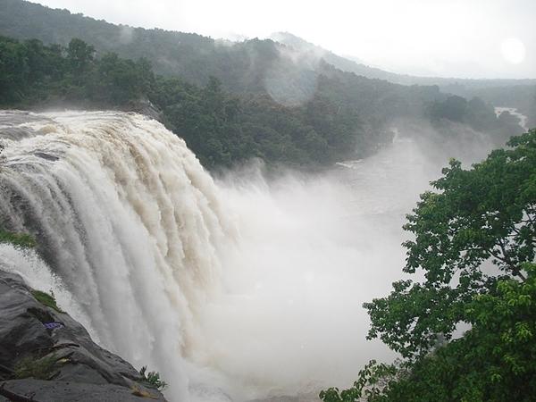 ரம்மியமான வனப்பகுதி