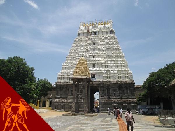 மிதுனம்- வரதராஜப் பெருமாள்