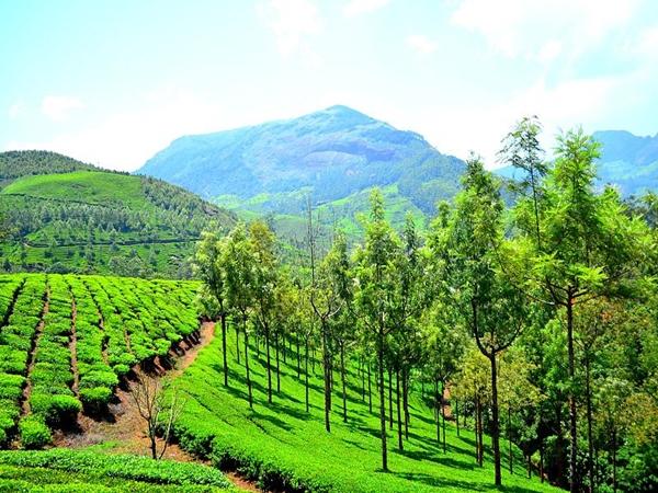 மூணாறு