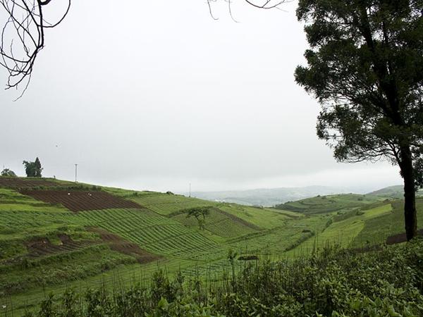 போக்குவரத்து
