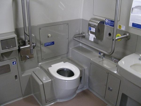 வகைவகையான கழிவறை