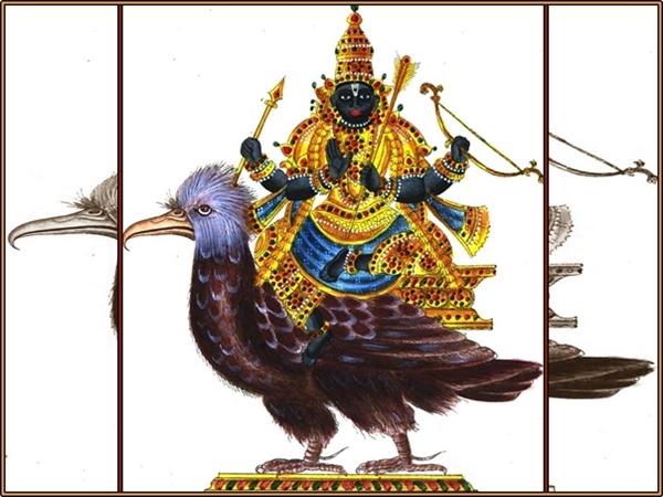 வரலாறு