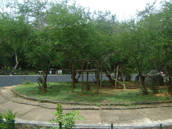 மாநகரப் பூங்கா