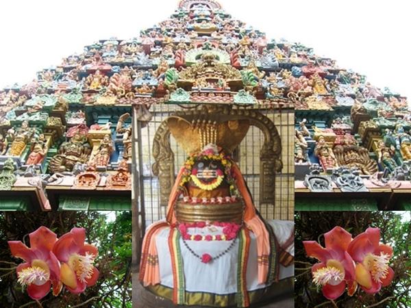 நேர்த்திக்கடன்