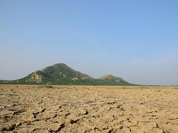 கலாச்சாரமும் மொழிகளும்