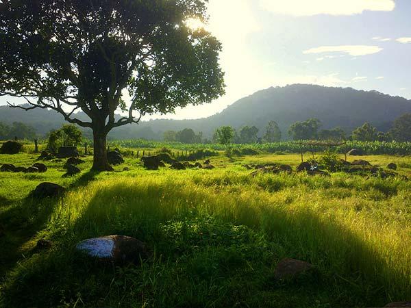 ஏலகிரி செல்ல சிறந்த நேரம்: