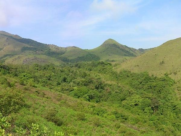 தடியாண்டமோல் சிகரம்