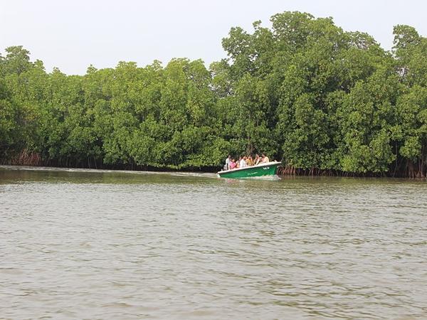பிச்சாவரம் ஏரி