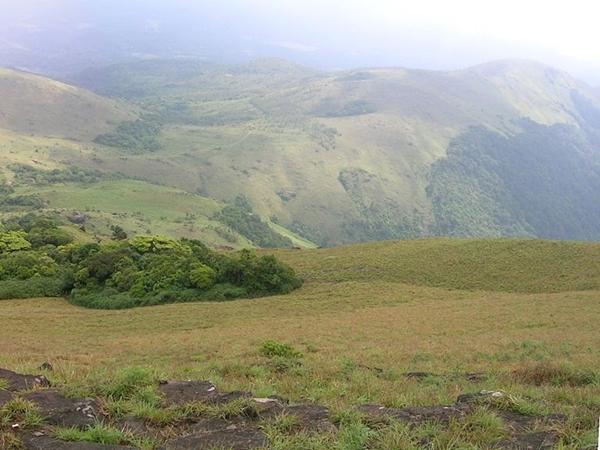 தடியாண்டமோல் சிகரம்