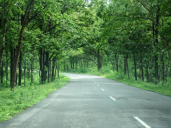 பெங்களூர்- பந்திப்பூர்