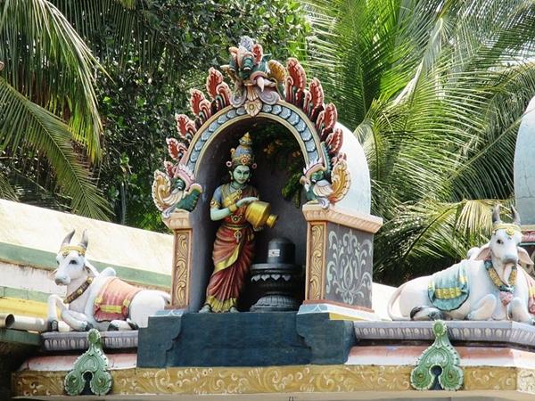 தலஅமைப்பு