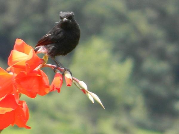 தேவாலா அருகே கட்டாயம் காண வேண்டிய இடங்கள்