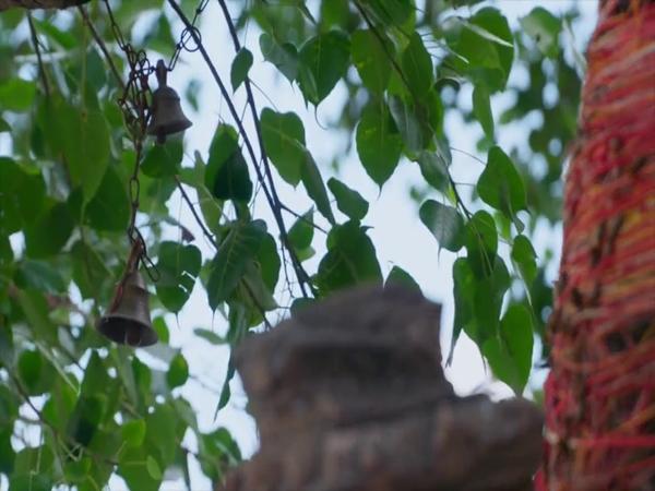 தென்குருசி