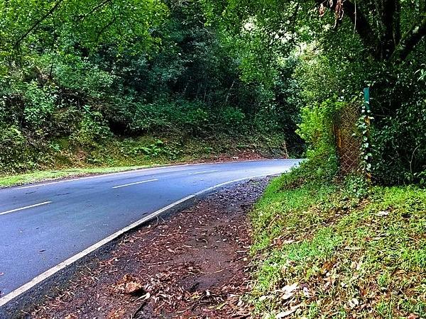 பெங்களூர்- ஊட்டி