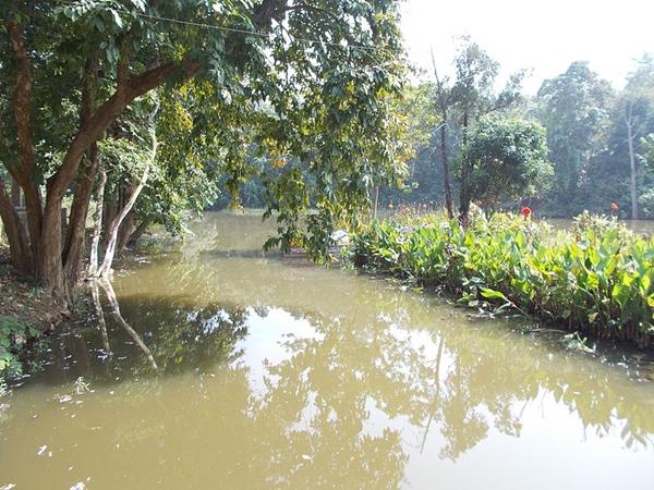 ஹஜாரிபாக் மலைப்பகுதி
