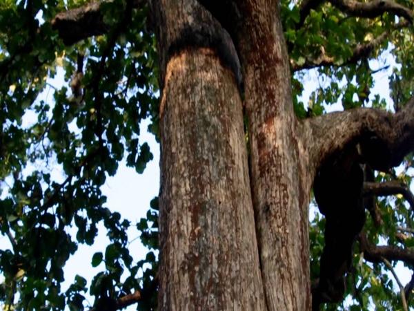 ரத்தம் பீய்ச்சி அடிக்கும்