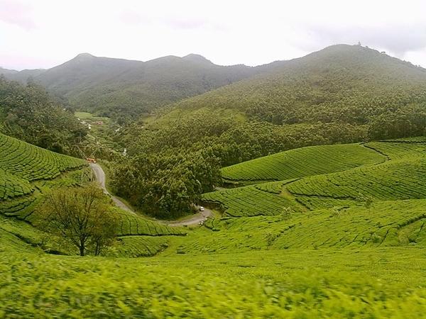 மூணார் - நெரியாமங்கலம்
