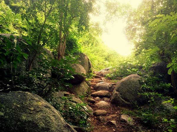 இறுதி இலக்கு, ஏலகிரி: