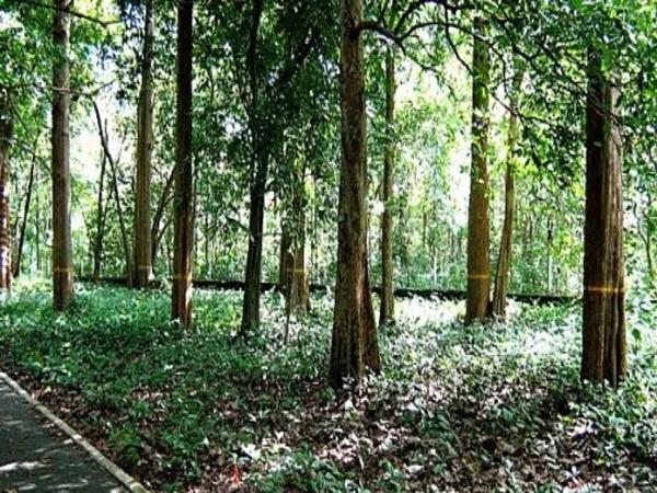 எலம்பலை மலை