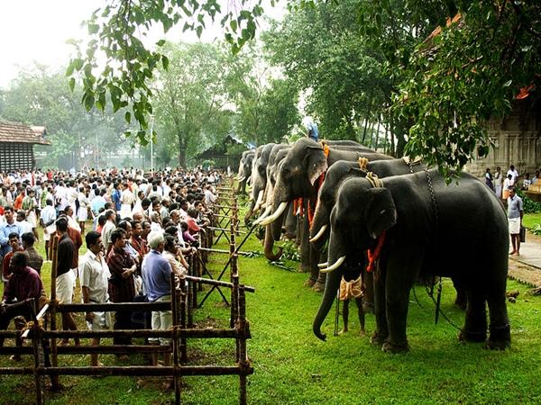 நெரியாமங்கலம் - திரிசூர்