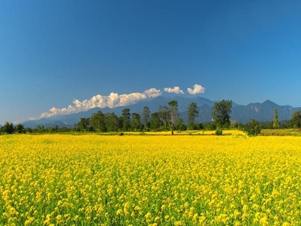 ஜிரோ