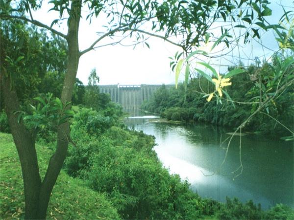 கொய்னா அணை