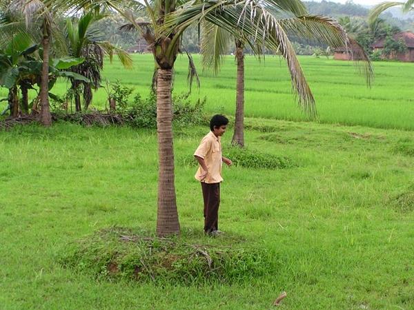அழகு கோலம்