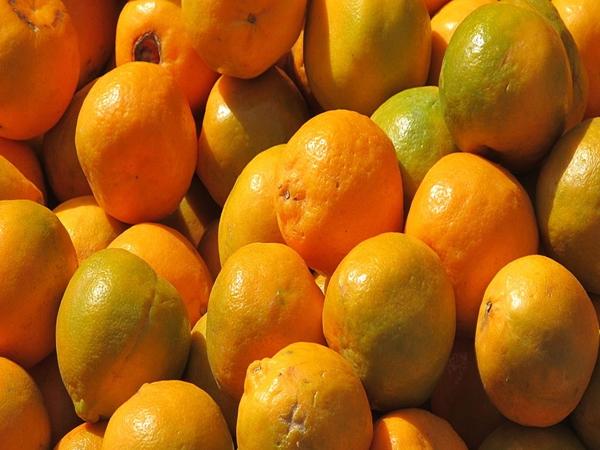நாக்பூரில் இருக்கும் இடங்கள்