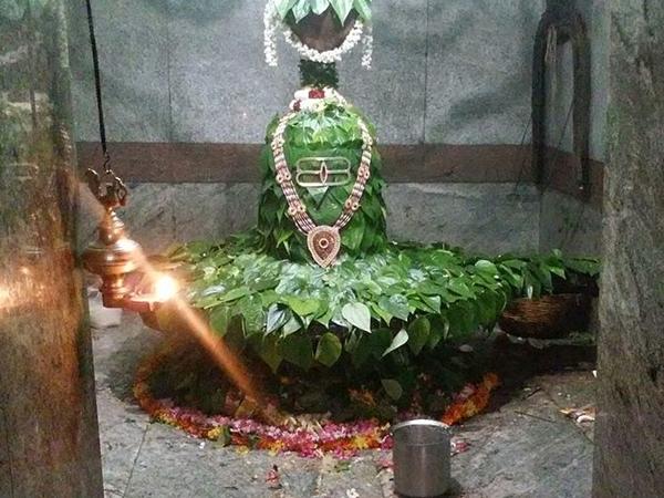 எங்கே உள்ளது ?