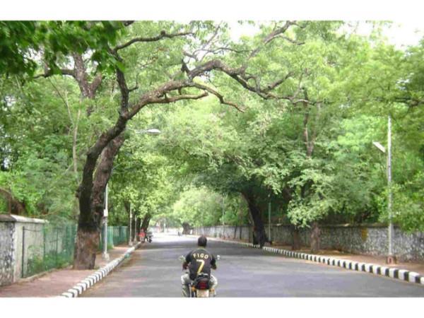 பெசன்ட் அவென்யூ சாலை