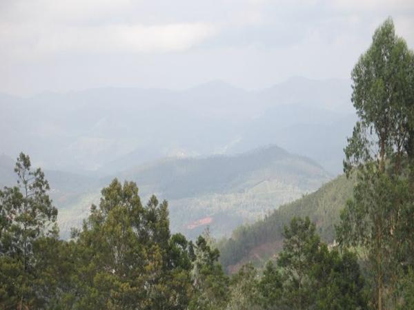 முதுமலை