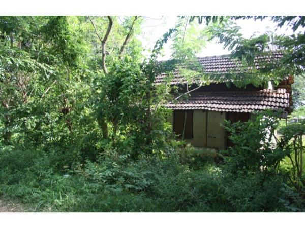 வால்மீகி நகர்