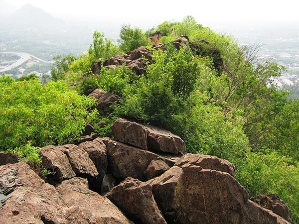 குகை அமைப்பு