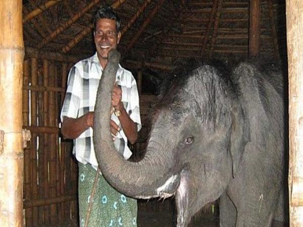 தெப்பக்காடு யானை முகாம்