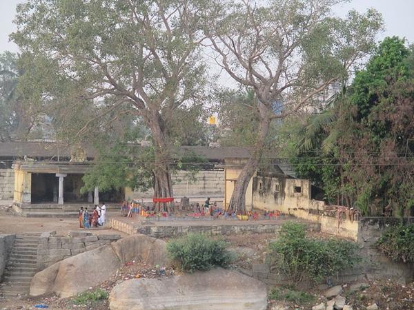 வீரட்டேசுவரர் தல திருவிழா