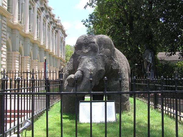 பரா கமன்