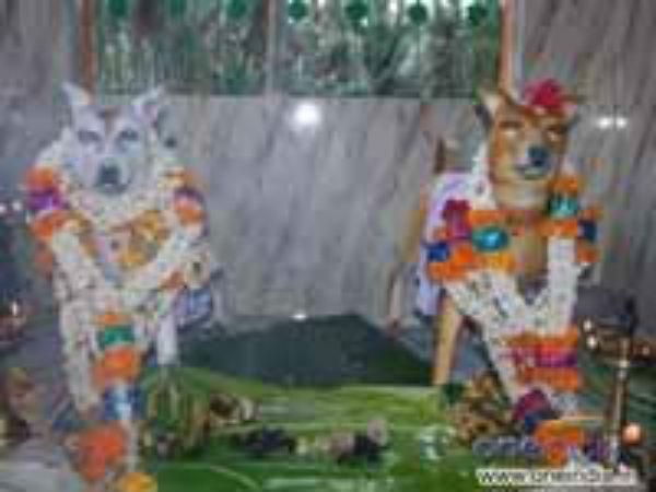 நாய் கோயில்