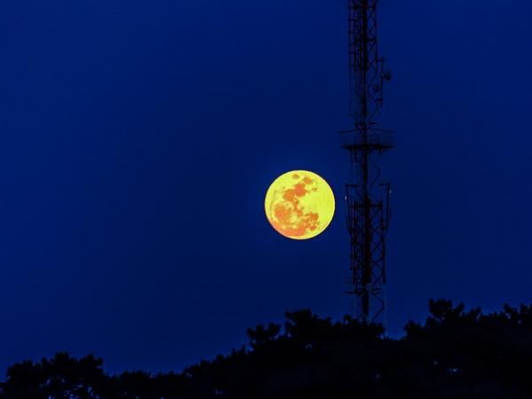 மேகாலயாவில் நீங்கள் பார்க்கவேண்டிய இடங்கள்