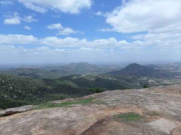 ஹார்ஸ்லி அதைக் கண்டுகளி