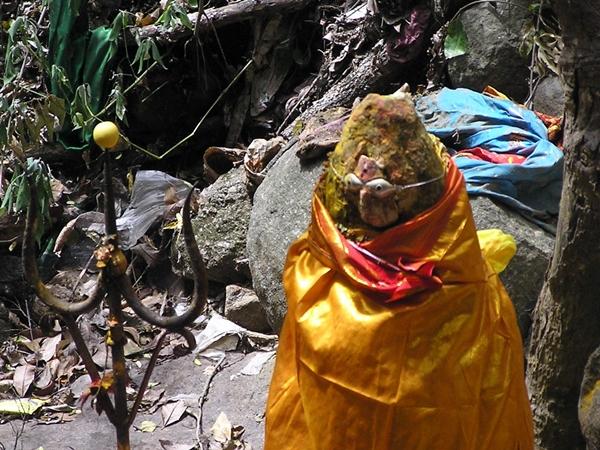 சித்தர்கள் பூமி