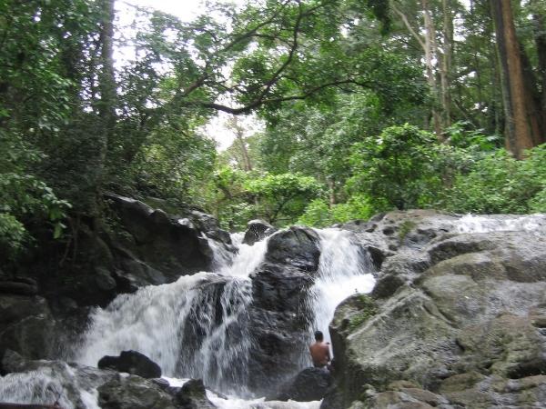 கவின்மிகு காட்சிகள்