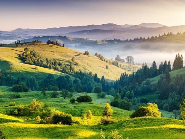 கொடைக்கானலில் எத்தனை இடங்கள்