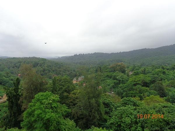 பரமேக்காவு பகவதி கோயில்